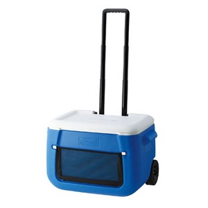 Coleman(R[}) p[eB[X^bJ[slzC[t^TOps