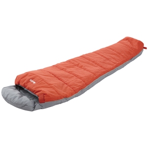 SX(LOGOS) ې􂢃A[oEQ