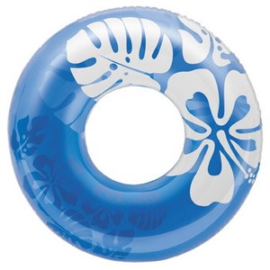 INTEX(CebNX) NAJ[`[u@ց@XP