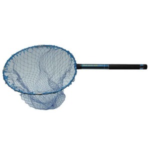 ADVICE MARINE(AhoCX}[) AlwKA[