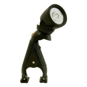 STELLA LUCE(Xe[X) `iIgj