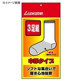 リーグスター(LEAGSTAR) アンダーソックス3足組セット(中厚) LYZ-5846SP 【廃】トレイルランニング用ソックス