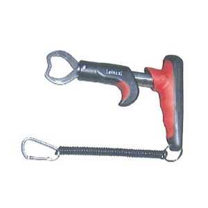 Itg(OFT) sV[Y@KX^C@fW^tBbVObv