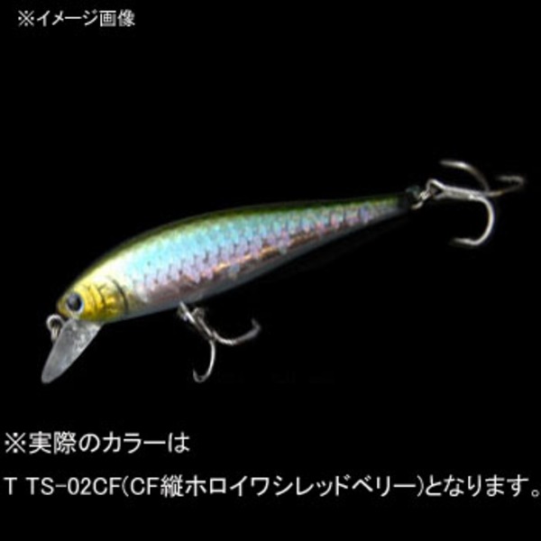 ラッキークラフト(LUCKY CRAFT) ビーフリーズ65S ESG センターフラッシュ   ミノー(リップ付き)