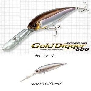 Go[O[(EVERGREENj S[hfBK[UOO