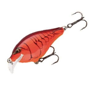 Rapala(p) r@q@biXLb^[bvNNj