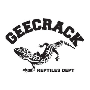 GEECRACK(ジークラック） ロゴステッカーヤモリ ブラック