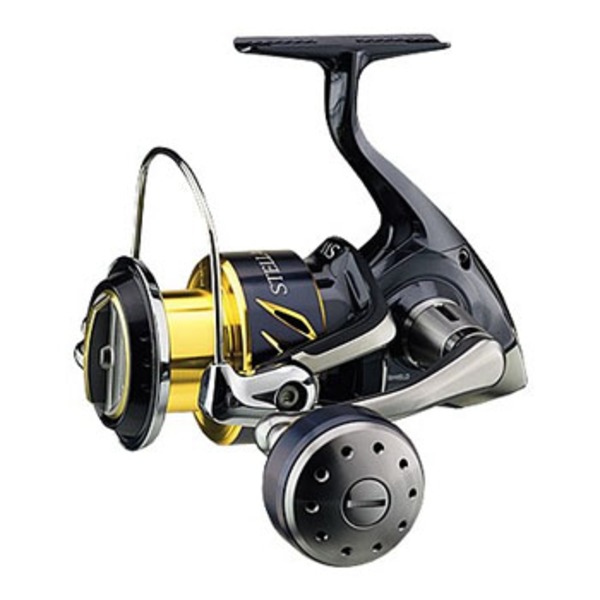 シマノ(SHIMANO) 13ステラSW 5000HG 030634