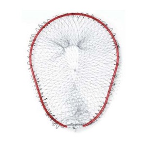 xg(Belmont) A~I[ot[rr|RUO