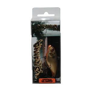 C}Jc(IMAKATSU) s[jUO@t^OXe