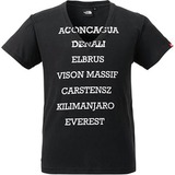THE NORTH FACE(ザ･ノース･フェイス) CEOA 7 SUMMIT V-NECK Men’s NT31355 半袖Tシャツ(メンズ)