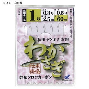 nuT(Hayabusa) 킩@HcLcl@T{b