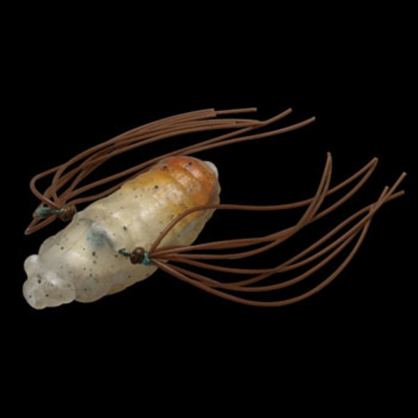 ジャッカル(JACKALL) 活蝉   ノイジー