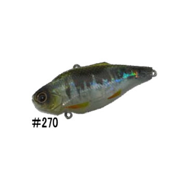 エバーグリーン(EVERGREEN) ジータ   バイブレーション