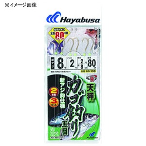 nuT(Hayabusa) ЂƂс@JSނܖځ@bWOVAWQ{b