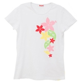 Shipsmast(シップスマスト) カワハギ Tシャツ T03-WH-S Tシャツ･ノースリーブ(レディース)