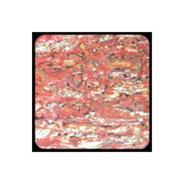 ホッツ(HOTS) アワビワークス アワビシート ニュージーランド   シート･シール