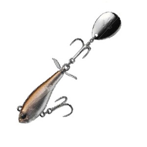 Go[O[(EVERGREENj fB[v}WbN