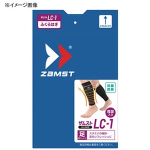 UXg(ZAMSTjy戵sz kb|Pӂ͂