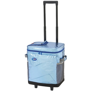 Coleman(R[}) zC[GNXg[iqjN[[