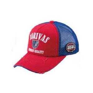 ooXiVARIVASj ooX@Rbgn[tbVLbv