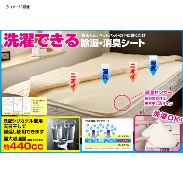 ファイン 除湿くんシリーズ 洗える除湿･消臭 シート FIN-486 除湿対策