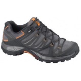 SALOMON(サロモン) ELLIPSE PEAK Women’s L30921900 スニーカー(レディース)