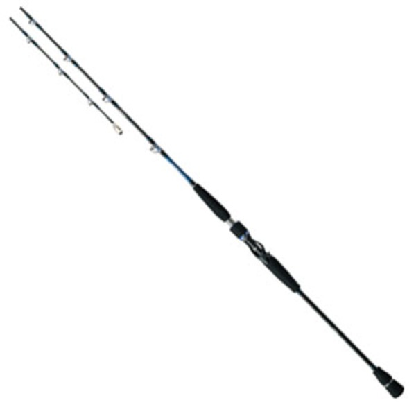 ダイワ(Daiwa) ソルティガ BJ 411B-6 01473256 ベイトキャスティングモデル