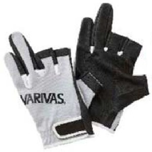 ooXiVARIVASj ooX@cVO[uR