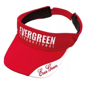 Go[O[(EVERGREENj dDfDCgToCU[@^CvQ