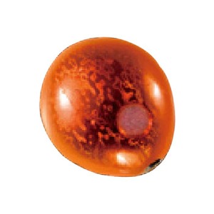 VEg(Shout!) XChAT[wbh