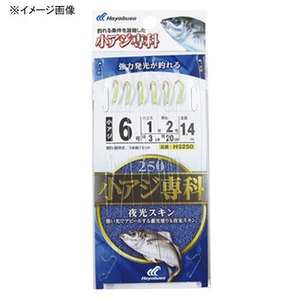 nuT(Hayabusa) AWȁ@XL