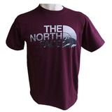 THE NORTH FACE(ザ･ノース･フェイス) TNF LOGO TEE Men’s NT31341 半袖Tシャツ(メンズ)