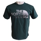 THE NORTH FACE(ザ･ノース･フェイス) TNF LOGO TEE Men’s NT31341 半袖Tシャツ(メンズ)