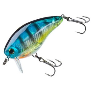 [d(YO-ZURI) Rcr@NNrrq@TOe