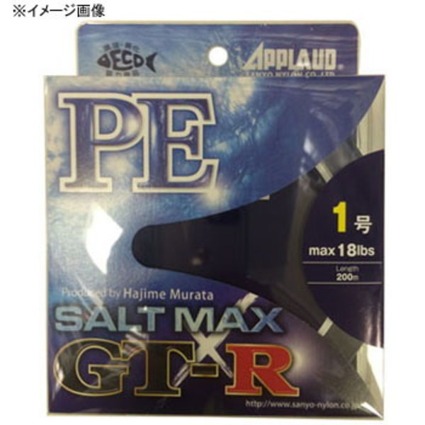 サンヨーナイロン ソルトマックス GT-R 300m   オールラウンドPEライン