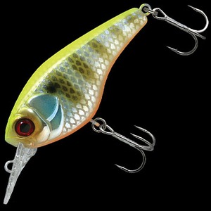 WbJ(JACKALL) WFCRTWrq