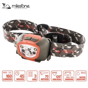 }CXg[imilestonej lr|aP@őPUO[@Pldr