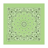 KENYON(ケニヨン) バンダナ KY6000CP34 バンダナ