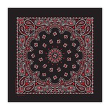 KENYON(ケニヨン) バンダナ KY6000CP52 バンダナ