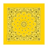 KENYON(ケニヨン) バンダナ KY6000CP62 バンダナ