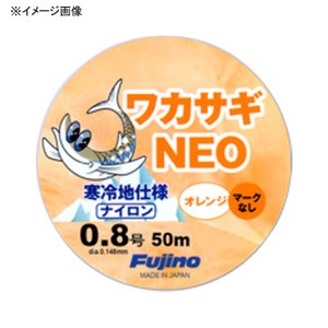 フジノナイロン ワカサギ寒冷地仕様NEO マークなし 50m W-18