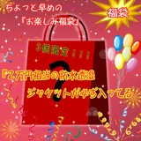 ナチュラム 定価20000円以上の防水透湿ジャケットが必ず入ってるお楽しみ袋♪サイズM   ハードシェルジャケット(メンズ)