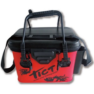 TICT(eBNg) CgQ[@RpNgobJ