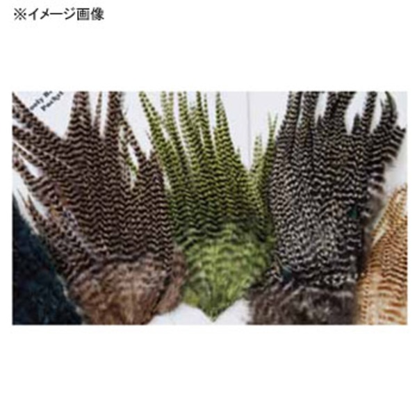 キャップス(Caps) ウーリーバガーパック   フェザー類