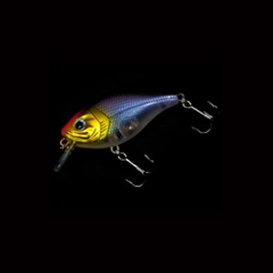 BIOVEX(バイオベックス) アンプシャロークランク ｜アウトドア用品