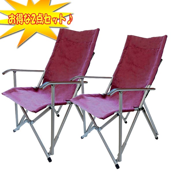 ogawa(キャンパルジャパン) リラックスチェア×2【お得な2点セット】 1906 ディレクターズチェア