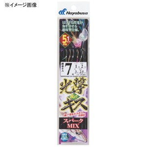 nuT(Hayabusa) LX@Xp[Nlhw@T{bPZbg