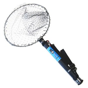 eBKishf`@oqnctbsrj RpNgʃZbg@Zg[ibdms`tqj