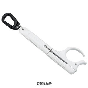 V}m(SHIMANO) bs|TQRm@gу~jnT~